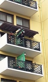 组图：曝台艳星欲跳楼自杀 曾出书曝与明星性爱