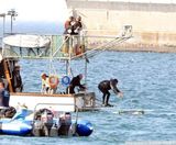 组图：哈莉-贝瑞拍海上落水戏 穿潜水服湿身出镜