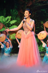 组图：陈思思献唱多台春晚 多变造型大盘点