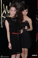 组图：王家卫广告宣传片发布 廖碧儿温碧霞助阵