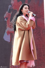 组图：范冰冰顶寒风华美亮相显女神范儿