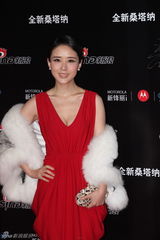 组图：2012新浪微博之夜红毯-众女星竞艳