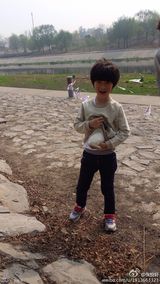 组图：天天抱小兔子玩耍小心呵护 张亮地位不保