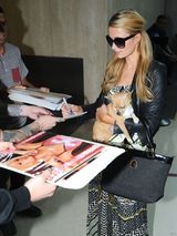 组图：希尔顿抱爱犬抵天使城 机场耐心为人签名