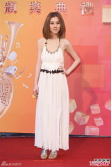 群星亮相金曲奖红毯 蔡依林美腿梁静茹性感(图)