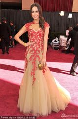 组图：露易丝-罗绣花纱裙美艳亮相奥斯卡红毯