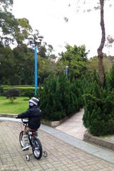 组图：张柏芝新年陪儿子骑单车 母子其乐融融