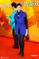 高清图：群星聚首电视导演年会 翁虹窈窕彭丹变化大