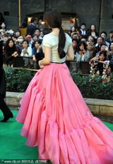 组图：第24届东京电影节 评委范冰冰粉裙现绿毯