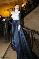 组图：伦敦华语电影节开幕 范冰冰美艳压轴