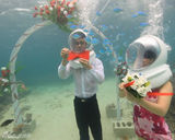 组图：小沈阳沈春阳《纵横四海》举行深海婚礼