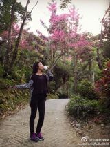 组图：Hebe晒赏花照 笑容灿烂获赞人比花美