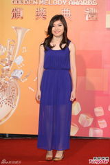 群星亮相金曲奖红毯 蔡依林美腿梁静茹性感(图)