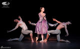 组图：大剧院舞蹈节迎来足尖上的悲情经典《茶花女》