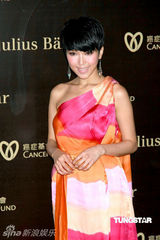 幻灯图：熊黛林李玟乐基儿何超仪等齐聚慈善晚宴