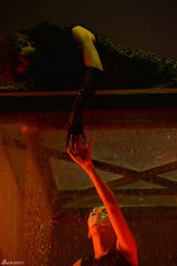 组图：李宇春南京个唱华丽落幕 12月15日登陆广州