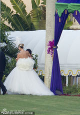 组图：名模海蒂高调庆婚 穿宫廷装露底大泄春光