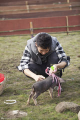 组图：《爸爸》老爸变装逗萌娃 小猪赛跑趣味多