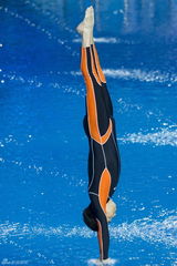 组图：《星跳水立方》首期群星跳水