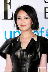 幻灯图：张曼玉成慈善晚宴焦点 杨千嬅不慰问郑中基