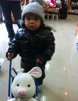 组图：刘涛儿女近照曝光 可爱表情十足萌态