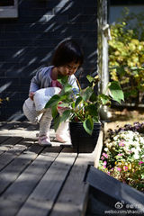 组图：赵子琪晒温馨家庭照 萌女儿助老公修桌子