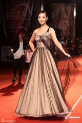 组图：亚太影展女星比美 侯佩岑温碧霞红毯争艳