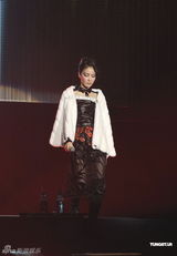 组图：王菲演唱会众星捧场 带众人为灾民祈福