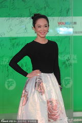 组图：上海电视节红毯 范文芳性感紧身黑衣亮相