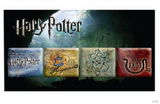 幻灯图集：《哈利-波特6》DVD有奖活动奖品