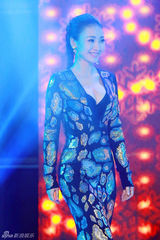 组图：柳岩性感深V裹身裙出席活动 男粉丝送抱