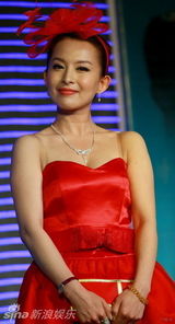 幻灯图集：电影《绿水》首映 陶虹身体力行宣扬环保