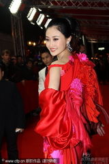 幻灯图集：《大兵小将》柏林首映 成龙林鹏着情侣装