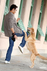 明道与猫狗亲密互动 现实中希望保有隐私权(图)