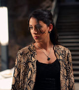 高清组图：电影《十二生肖》精彩剧照