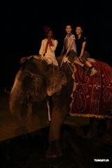 幻灯图：准港姐印度外景拍摄 骑大象过足瘾