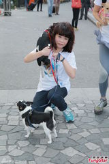 组图：林忆莲出席狗狗同乐日 陈嘉桓呼吁领养