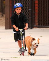 组图：贝克汉姆爱子比赛滑板 克鲁兹不忘遛爱犬