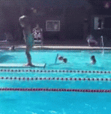 秒娱连珠：闭嘴!不然打爆你的鸟头