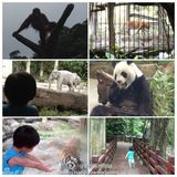 组图：微镜头下的小小志 呆萌可爱完胜童颜老爸