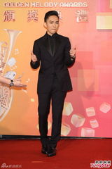 群星亮相金曲奖红毯 蔡依林美腿梁静茹性感(图)