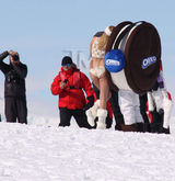 组图：凯特-阿普顿南极穿比基尼 冰天雪地豪乳热辣