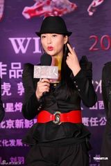 高清组图：《囧探佳人》曝终极海报 启动新浪官网