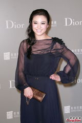 组图：刘嘉玲否认代孕传闻 称享受二人世界