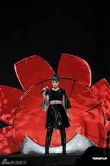 组图：王菲演唱会众星捧场 带众人为灾民祈福