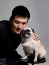 组图：严宽携爱犬拍写真 展现男人细腻温柔面