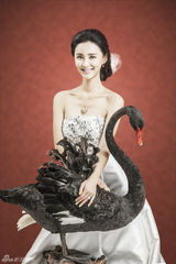 组图：张歆艺婚纱大片 奢华典雅引领巴洛克风