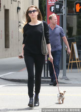 组图：德普双性恋女友街头遛狗 狂发短信疑传情