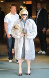 组图：Lady gaga皮草造型抱爱犬现身保加利亚