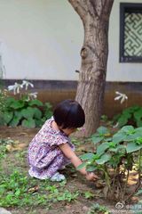 组图：赵子琪晒全家福 路金波抱爱女喂食温馨